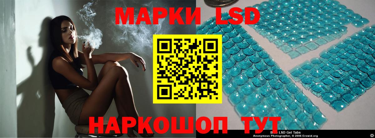 COCAIN Жуковский