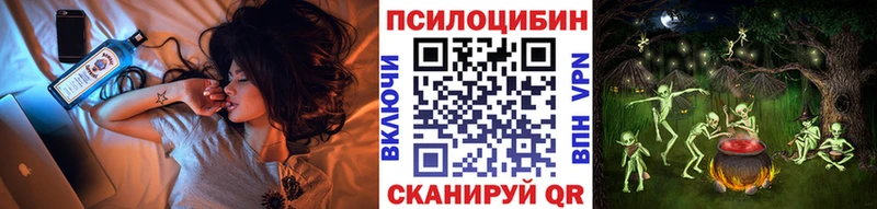 наркота  Жуковский  Псилоцибиновые грибы мицелий 