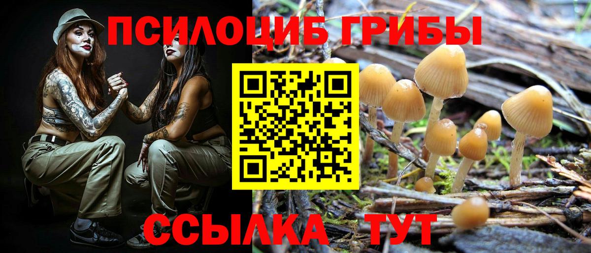 Псилоцибиновые грибы мухоморы  Вход с VPN  Жуковский 