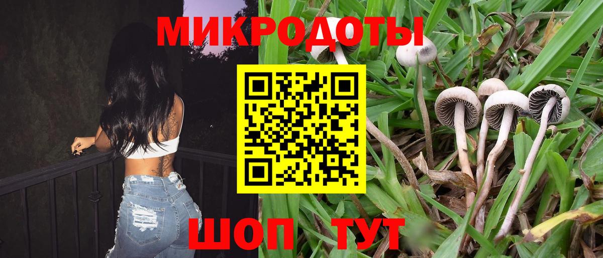 Галлюциногенные грибы Psilocybe Жуковский