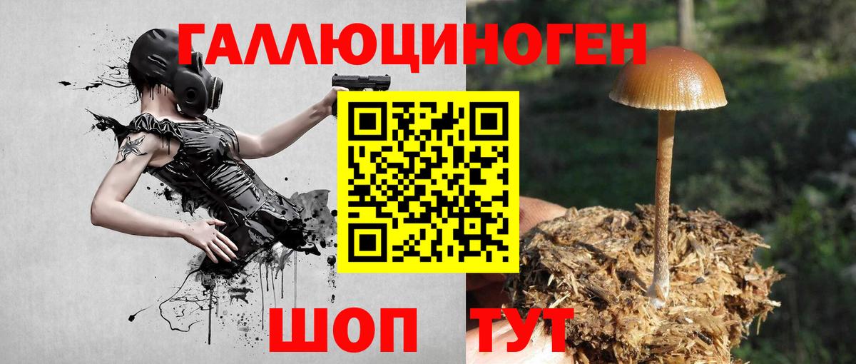 Галлюциногенные грибы мицелий Жуковский