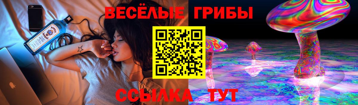 Галлюциногенные грибы Cubensis  Жуковский 