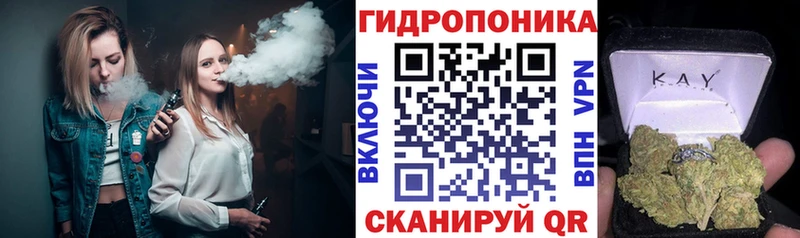 закладки  Жуковский  Шишки марихуана марихуана 